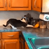 Knock Out Fighting GIF