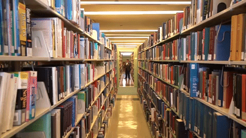 Library Uvm GIF by University of Vermont