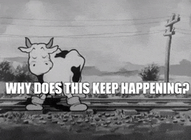 Black And White What GIF by Fleischer Studios