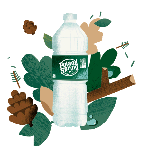 Water Bottle Sticker by Poland Spring for iOS & Android GIPHY