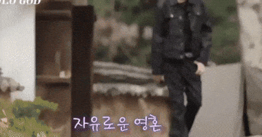 Steelo GIF