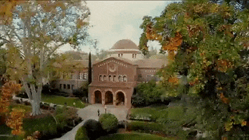 Cal State College GIF by Chico State