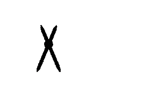 Boldbrows Sticker by Phibrows Academy London