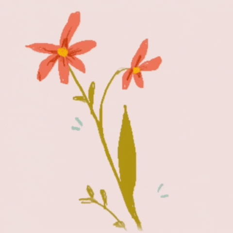 Animation GIF