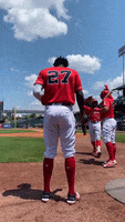 Reds Punisher GIF by Louisville Bats