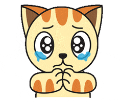 Sad Cats GIF by GoodMorningCat