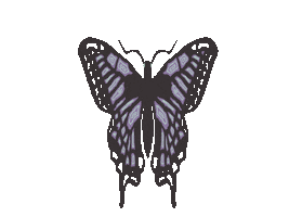 Deja Vu Sticker Sticker
