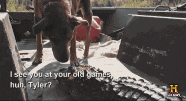 dog history GIF by Swamp People