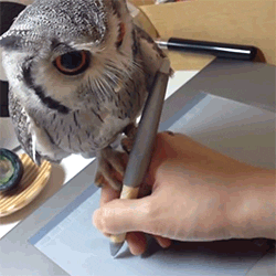 Art Drawing GIF by HuffPost