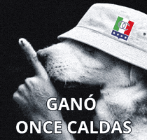 Once Caldas Albo GIF