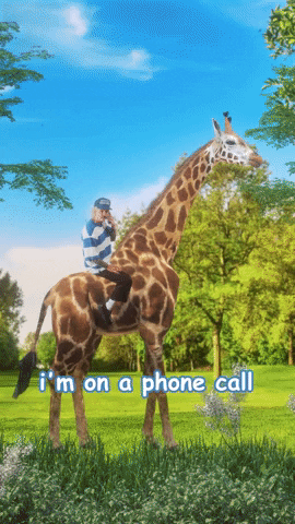 Phone Call Giraffe GIF