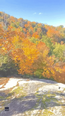 North Carolina Fall GIF by Storyful