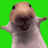 Hamster Laughing GIF
