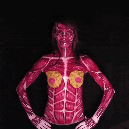 anatomy