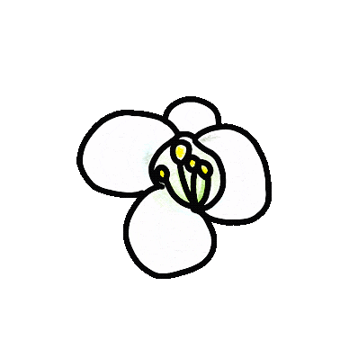 Enakakuta Sticker by ROSYLUCE