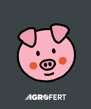 Pig Prase GIF by AGROFERT