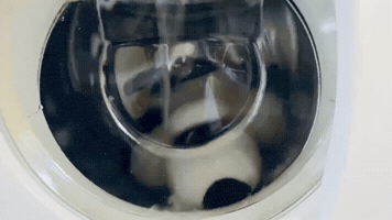 Washing Spinning GIF