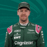 Vettel GIFs - Get the best GIF on GIPHY