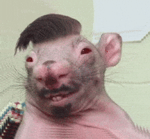 Jairrenanb GIF