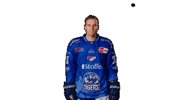 Scott Sticker by Straubing Tigers