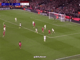 9Lfc4Ever GIF