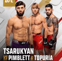 Ufc Batman GIF