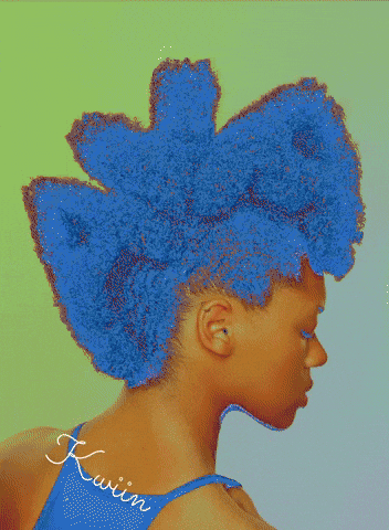 Afro Mohawk GIF by Kwiin Ava