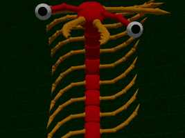 3D Centipede GIF by Pushopian