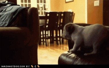 giphy.gif?cid=790b76115d624460c8e2689733