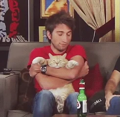 cat hug GIF