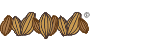 Cacao Sticker by Co Chocolat