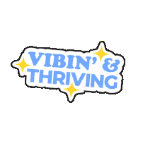 The Vibe Box Sticker