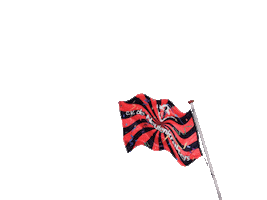 CVdeNeutenkrakers Sticker