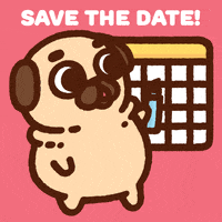 Save The Date Dog GIF by Puglie Pug