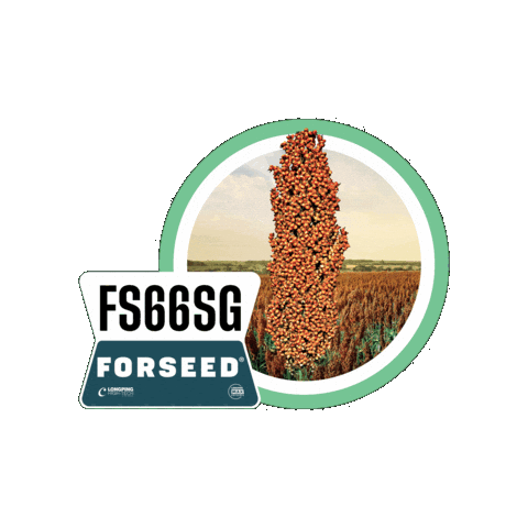 Sticker by Longping High Tech