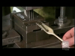 BM