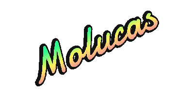 Abacería Molucas Sticker