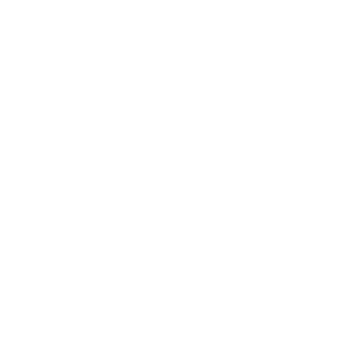 Festival Hardcore Sticker by 100procenthardcore