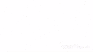 GIF by BirrificioPontinoBrewery