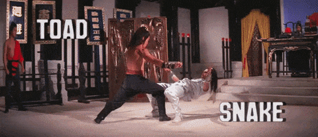 martial arts lo meng GIF by Shaw Brothers
