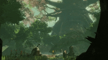 Zelda GIF
