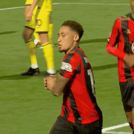 GIF by AFC Bournemouth