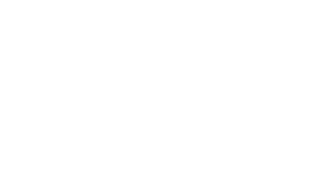 Stay Curious Sticker by Michelle Rago Destinations