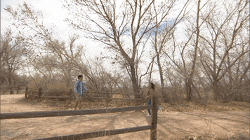 Run And Jump Love GIF by The Bachelorette