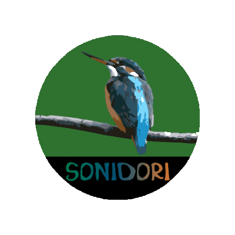 ソニドリ Sticker by SONIDORI