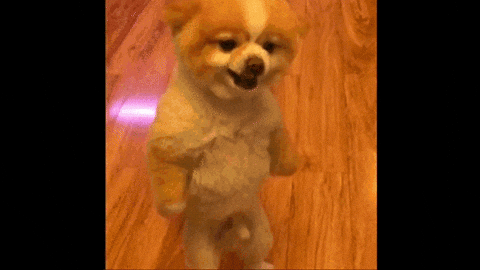 giphy.gif?cid=82a1493bznfbi5lop4hdlqv20q