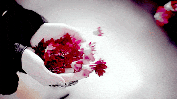 e-loves GIF