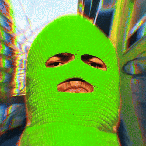 Face Ski Mask GIF