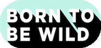 Born To Be Wild Party GIF by Bearcub & co