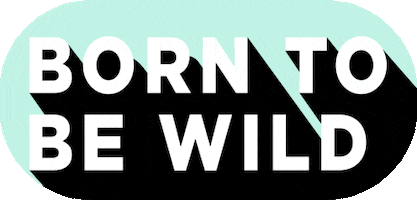 Born To Be Wild Party GIF by Bearcub & co
